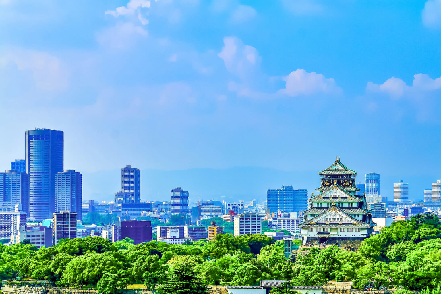 【2026年現地ルポ】空前の混雑が生んだ光と影——大阪・生野コリアタウンが迎えた「観光地化」と「暮らし」の分岐点