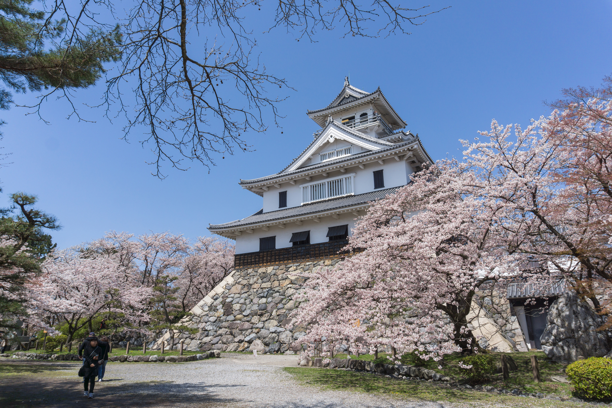 横浜・長浜公園の魅力を現地取材！日本初の野鳥観察園と歴史遺産