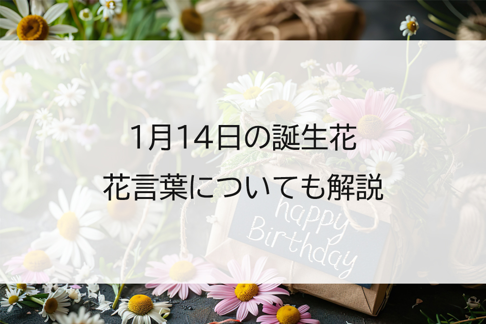 誕生日メッセージカード進化論！心を揺さぶる文例と最新トレンド