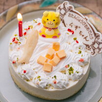 【まとめ】 猫 の 誕生 日 ケーキ 気になる噂と真相 #825