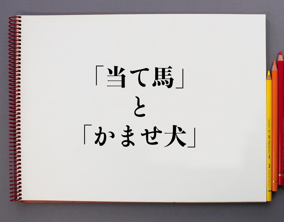 【2026年最新解剖】なぜ私たちは「当て馬」にこれほど胸を締め付けられるのか？語源からエンタメの最新トレンド、ビジネスでの実務知識まで徹底検証