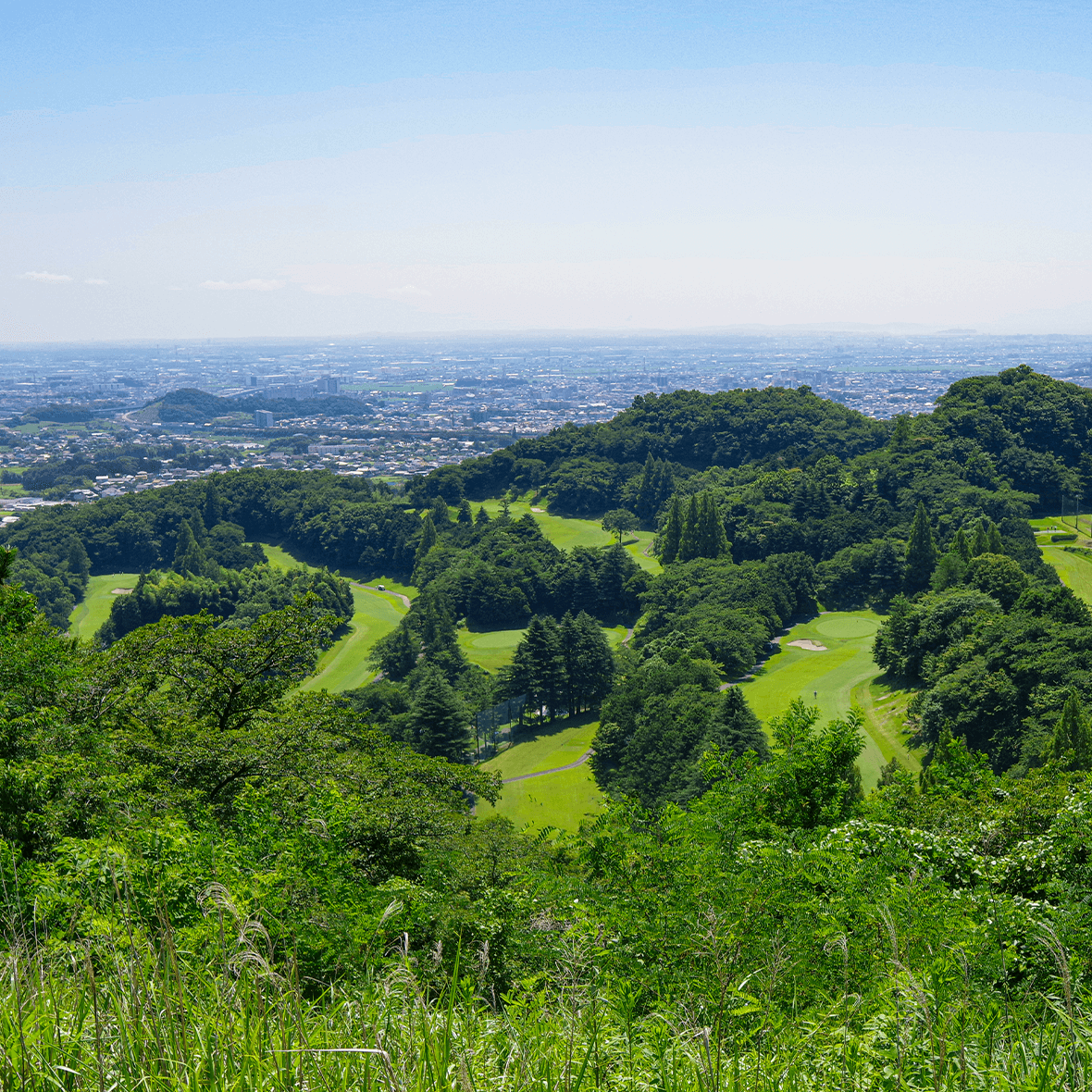 伊勢原カントリークラブはPgm系列？運営会社の真相と2026最新情報