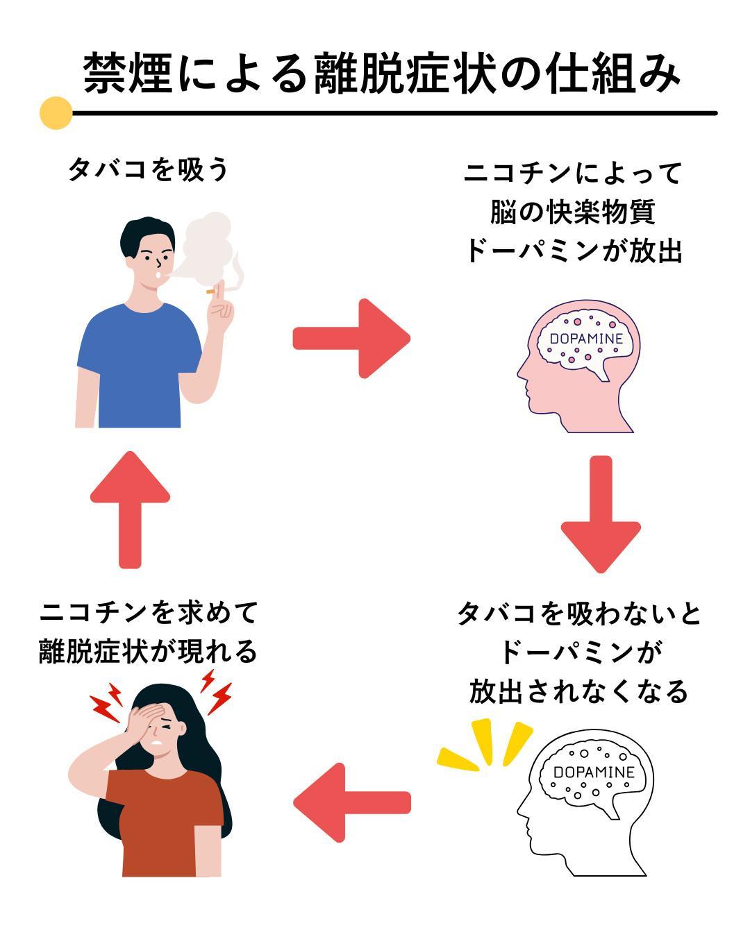 なぜ人は煙草を吸うのか？最新科学が暴く依存の真相と脳の罠