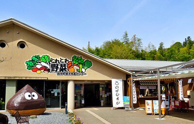 大阪の秘境が今、熱い！「道 の 駅 能勢 くり の 郷」が2026年に仕掛ける地方創生のリアルと、争奪戦必至の「幻の栗」最新事情