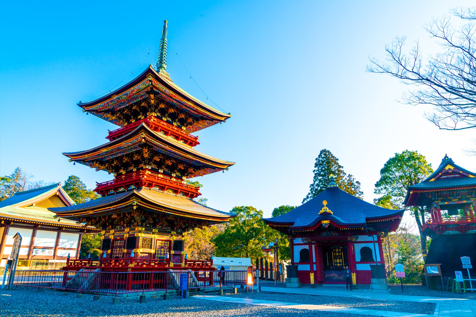 千葉県国際水泳場の新ルール判明！混雑回避ルートと一般利用の穴場