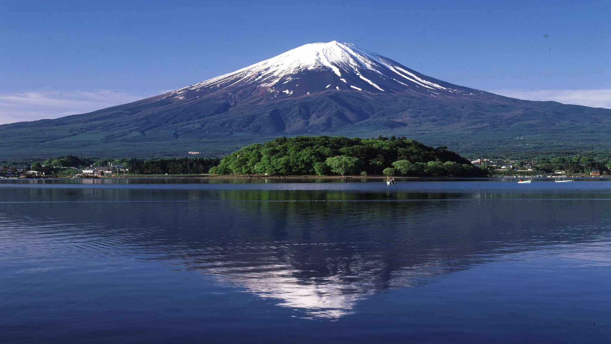 【2026年最新レポ】山梨 フルーツ パークが進化！新日本三大夜景と絶品完熟スイーツで五感を満たす休日