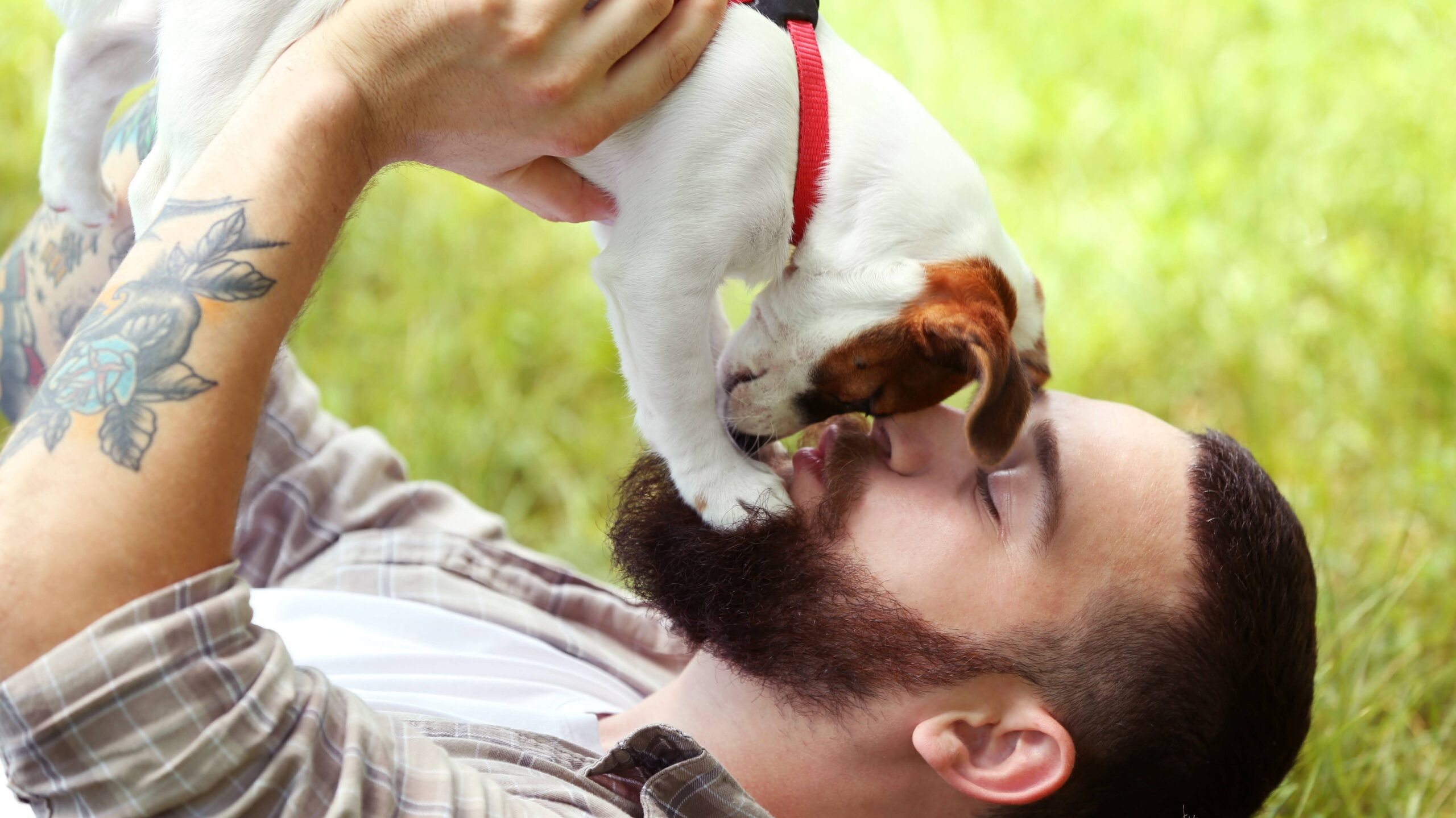 犬が顔を舐める理由とは？愛情表現の裏に潜む心理と感染リスク