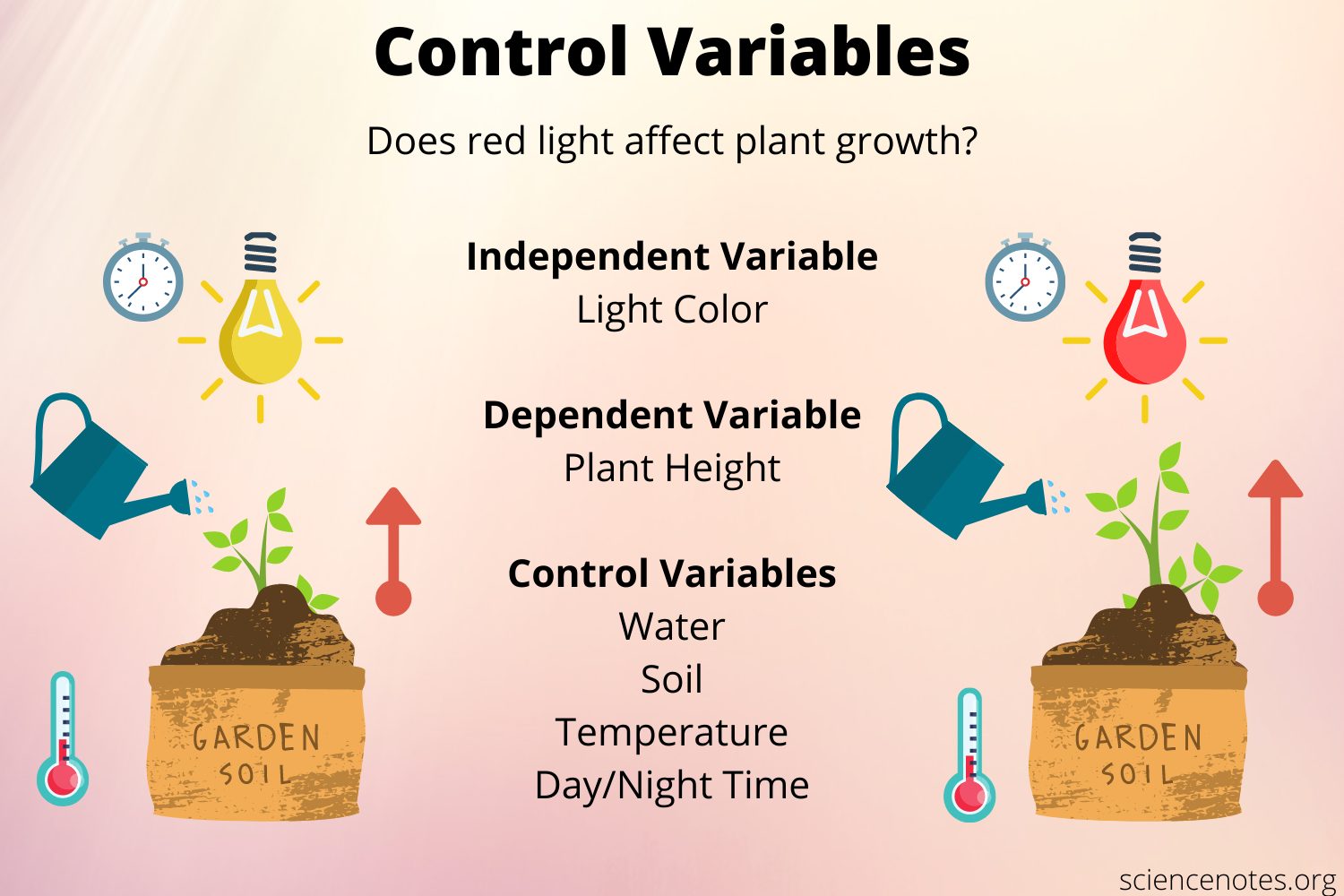 Control and Variable in Science Experiment