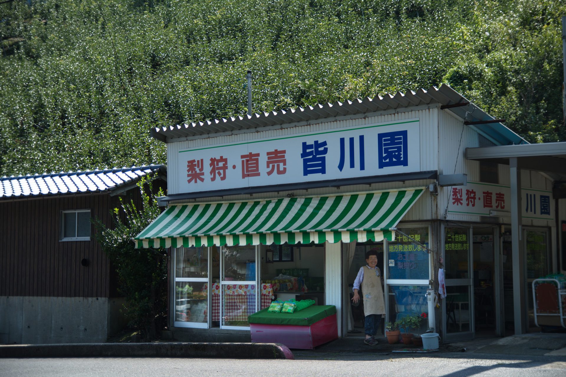 伝説のロケ地「皆川園」が再始動！映画界を揺るがす隠された真実