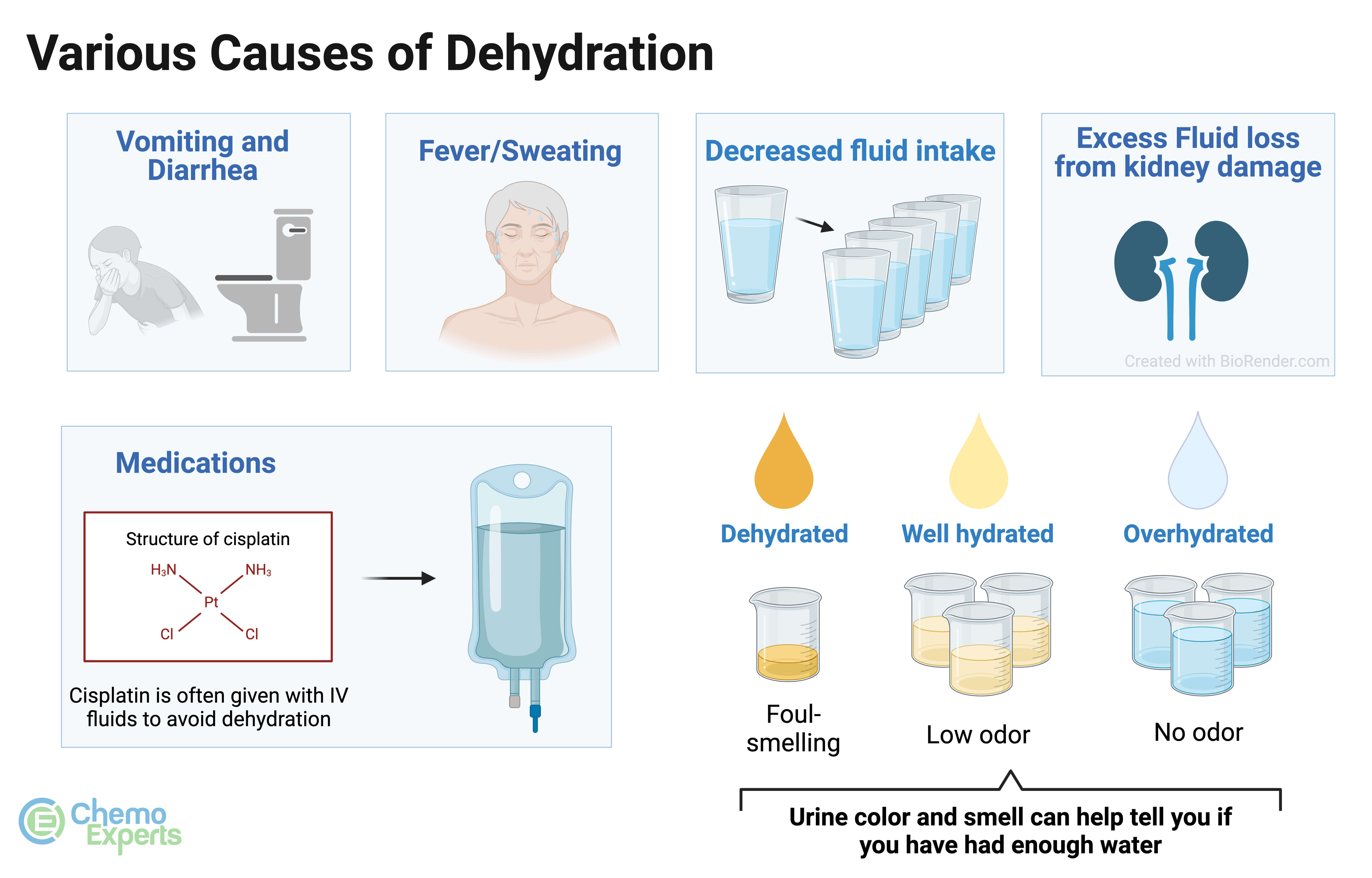 Why Does Dehydration Cause Nausea