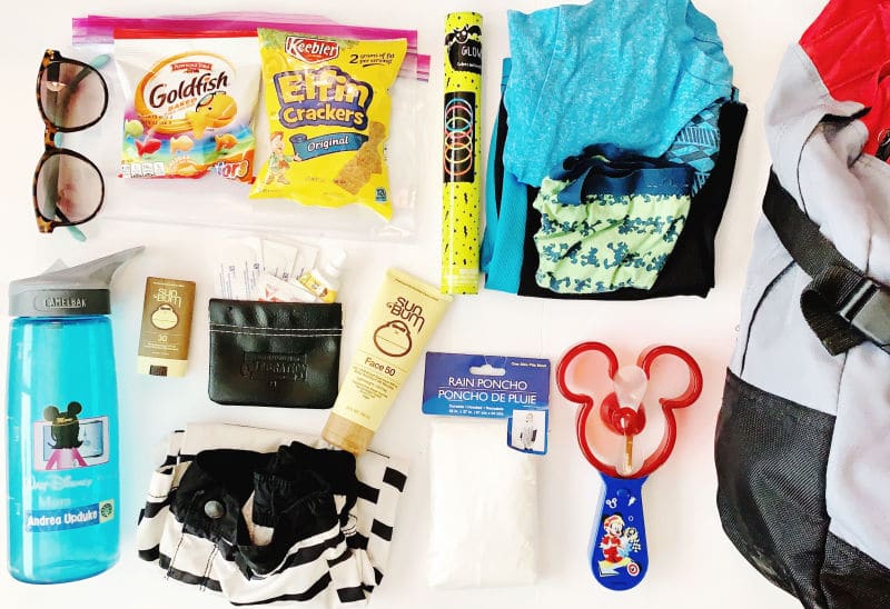 What Can You Take into Disney