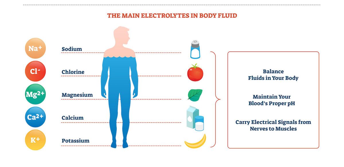 What Does Electrolytes Do for Your Body