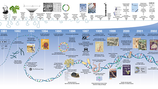 What Is the Genome Project