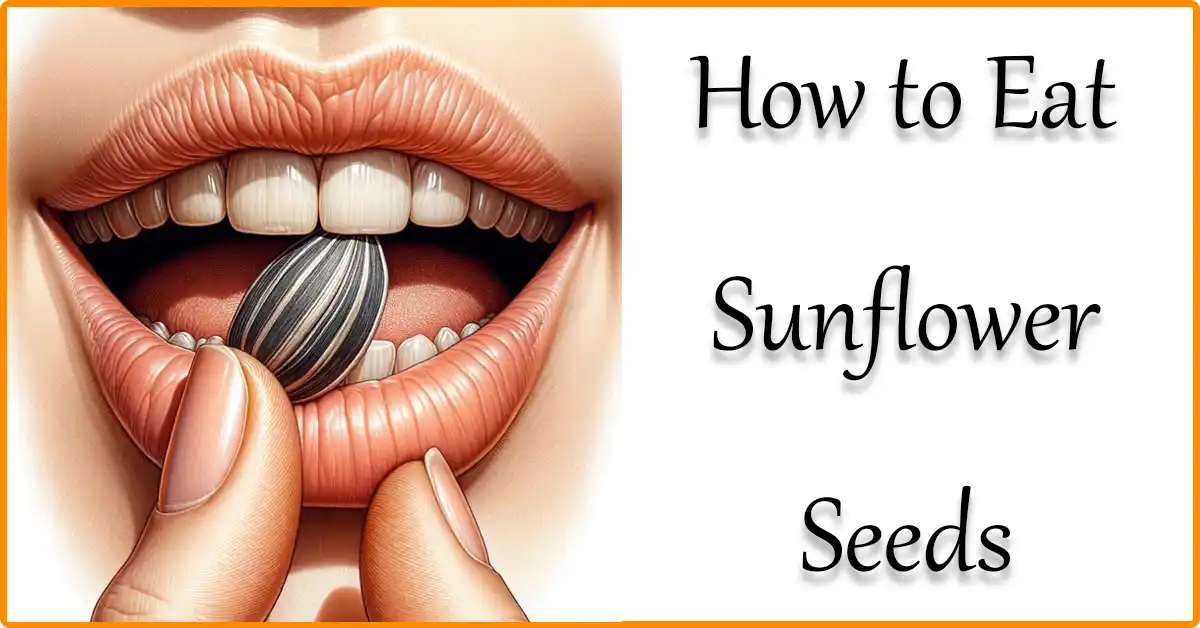 Is It Ok to Eat the Whole Sunflower Seed