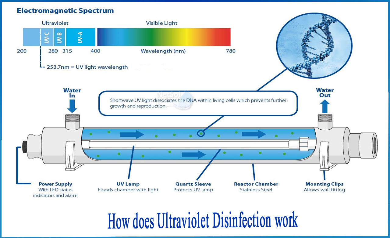 Uv Disinfection System for Treating Protozoa