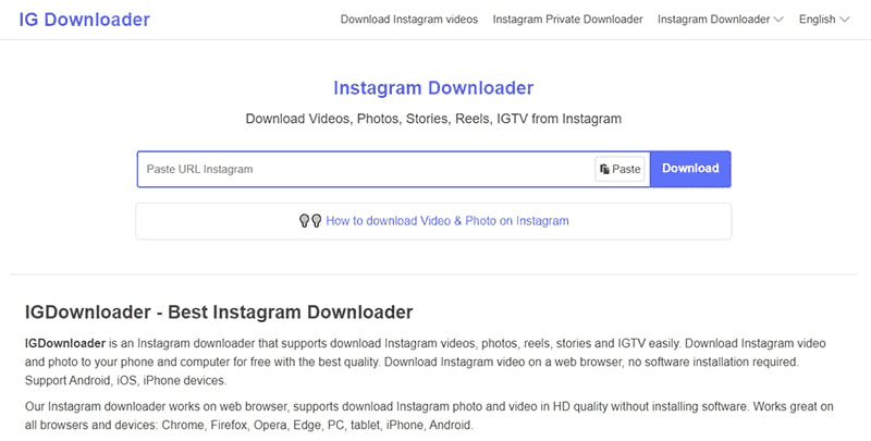 Ig Downloader Extension