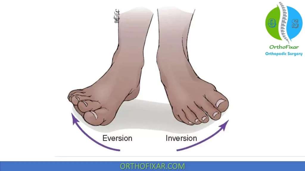 What Is Foot Inversion