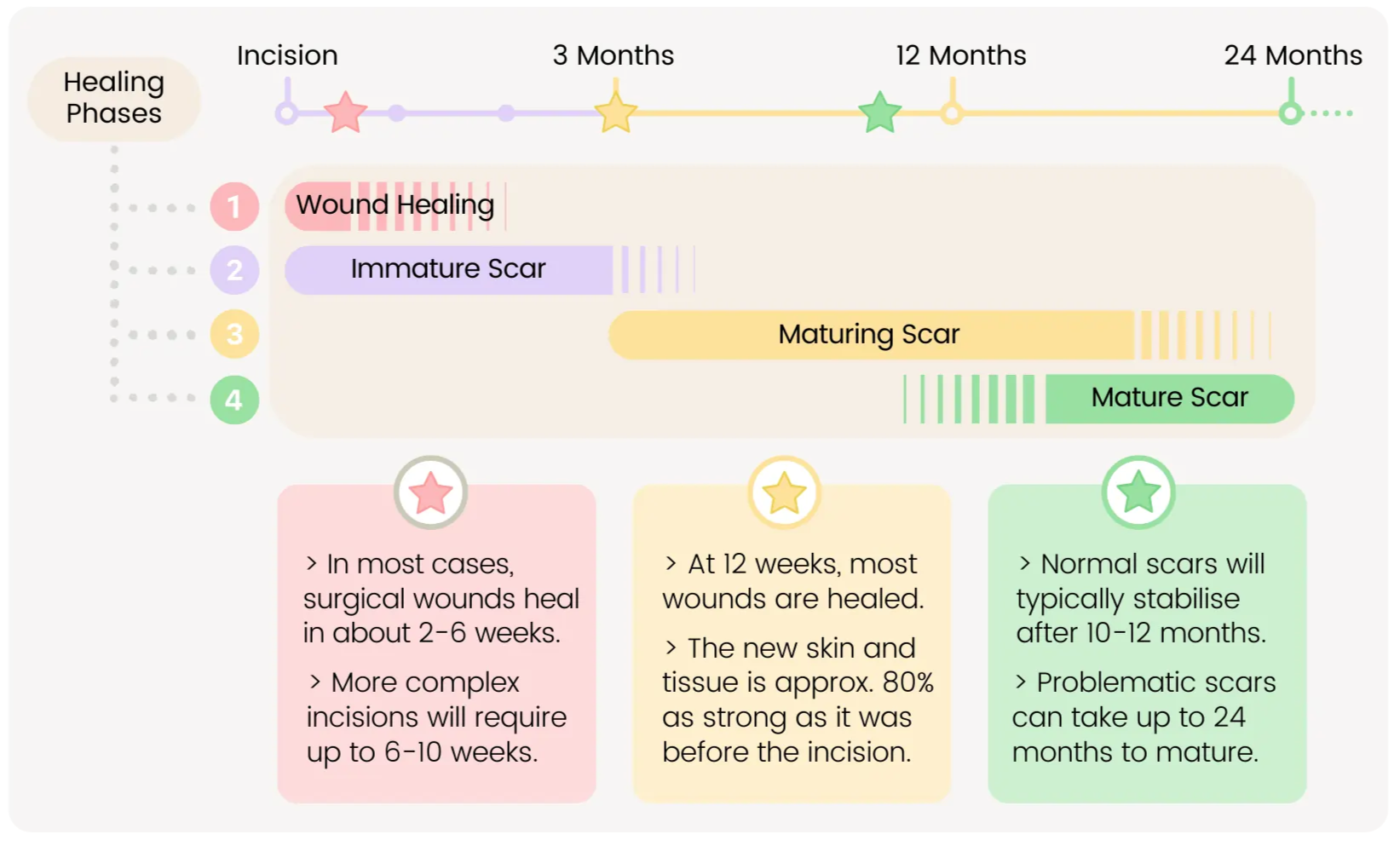 Can a Scar Heal