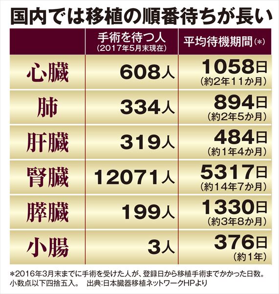 腎臓の値段と闇相場の真相！実際の移植費用と違法売買の実態に迫る