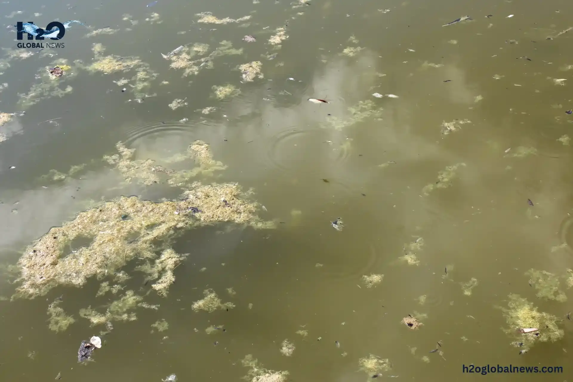 What Is Still Water and Why Is It Dangerous