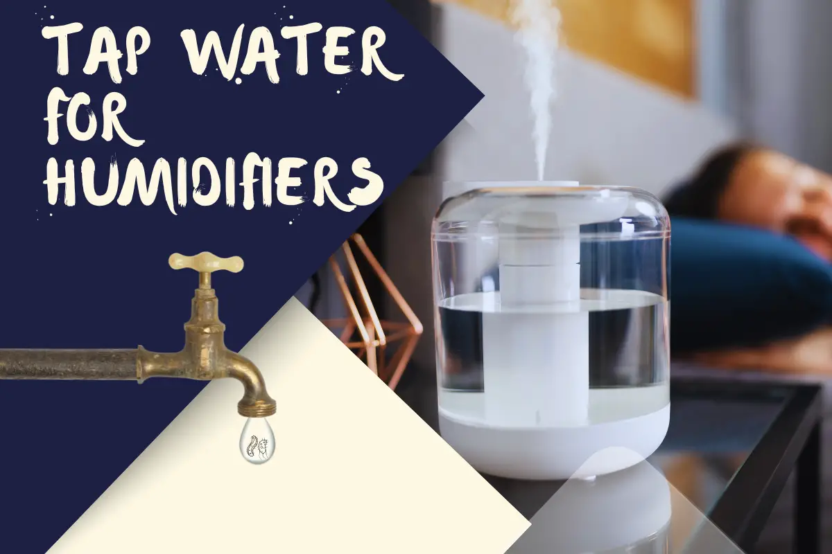 Is It Ok to Use Tap Water in a Humidifier
