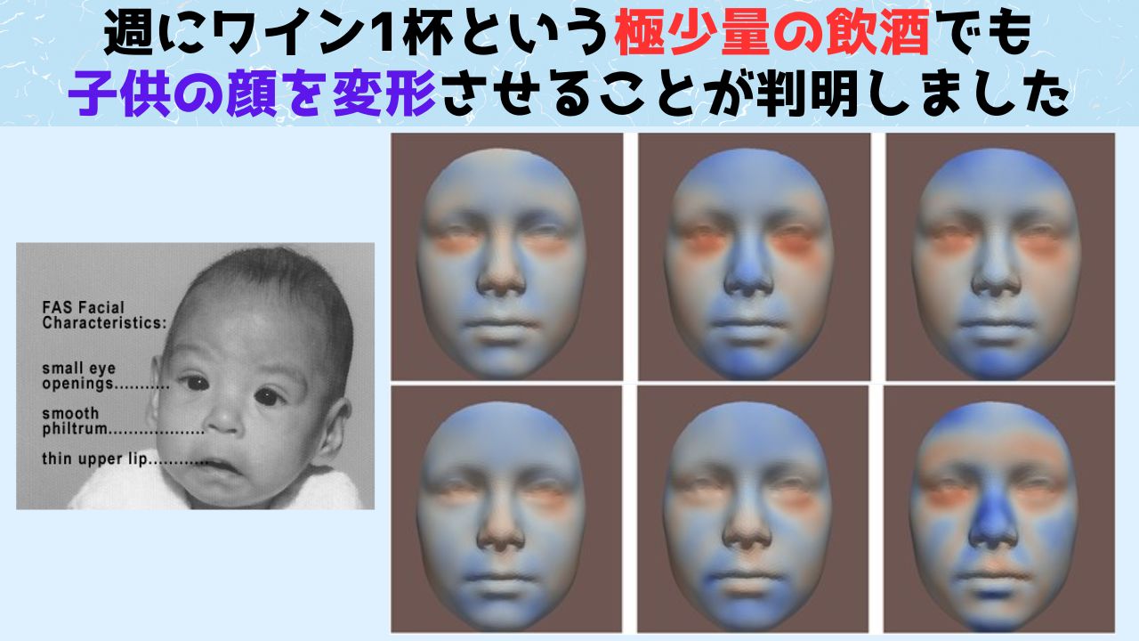妊娠中のアルコール摂取が危険視される理由と胎児への影響を徹底解説