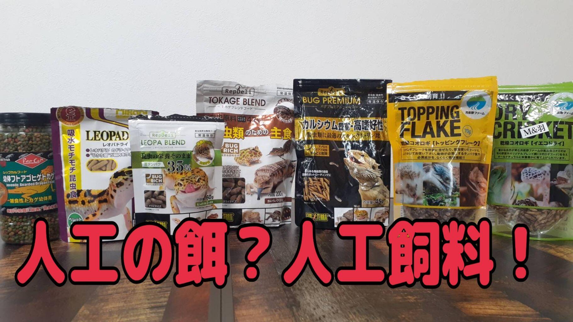 カナヘビの餌にかつおぶしは危険？食いつく理由と安全な代用策を徹底検証