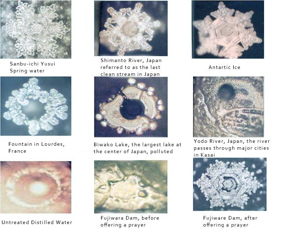 The Hidden Messages in Water Masaru Emoto