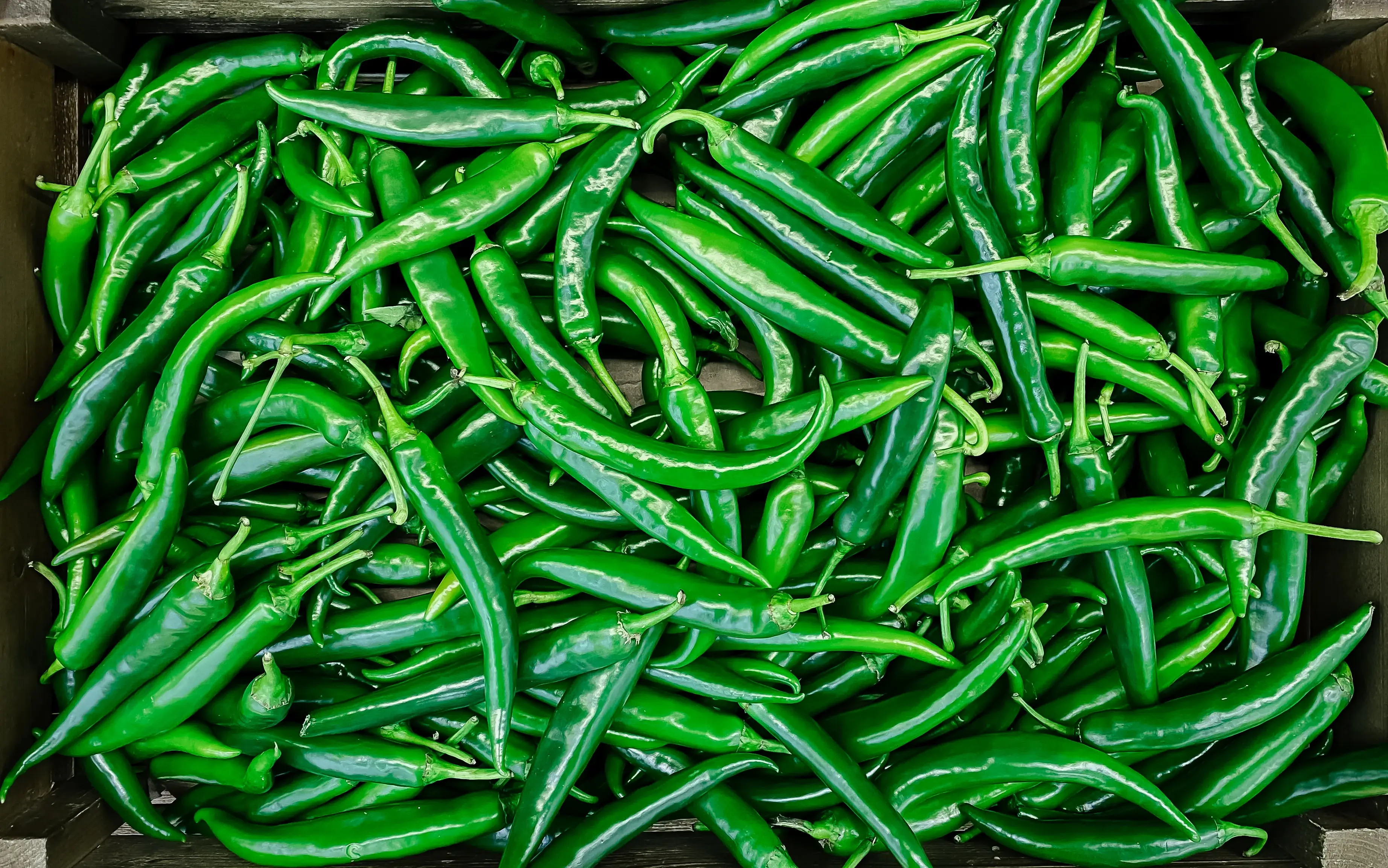 What Are Green Chillies