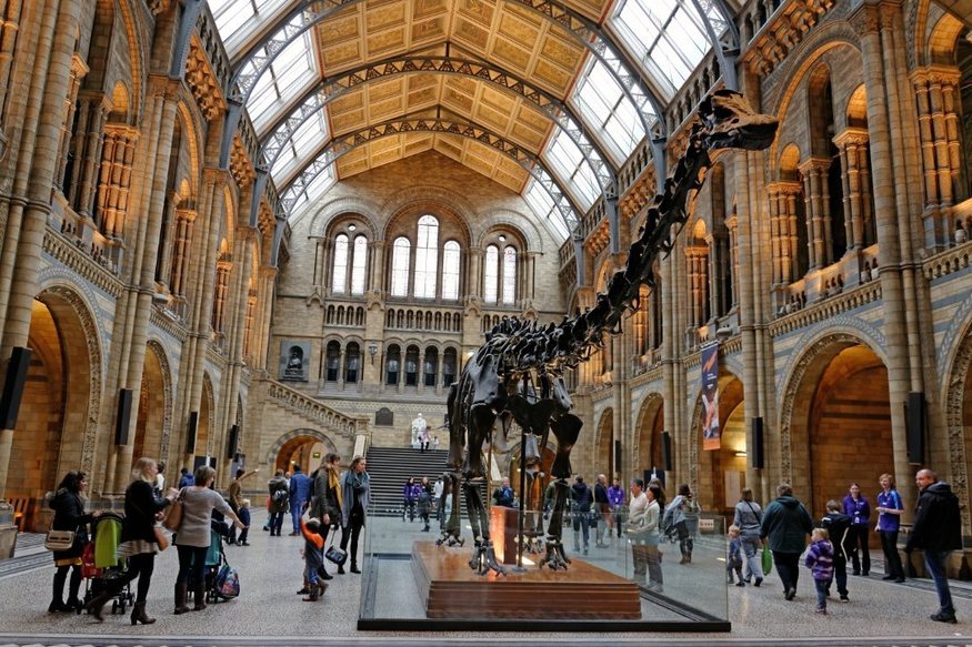 Where Is Dippy the Dinosaur Now