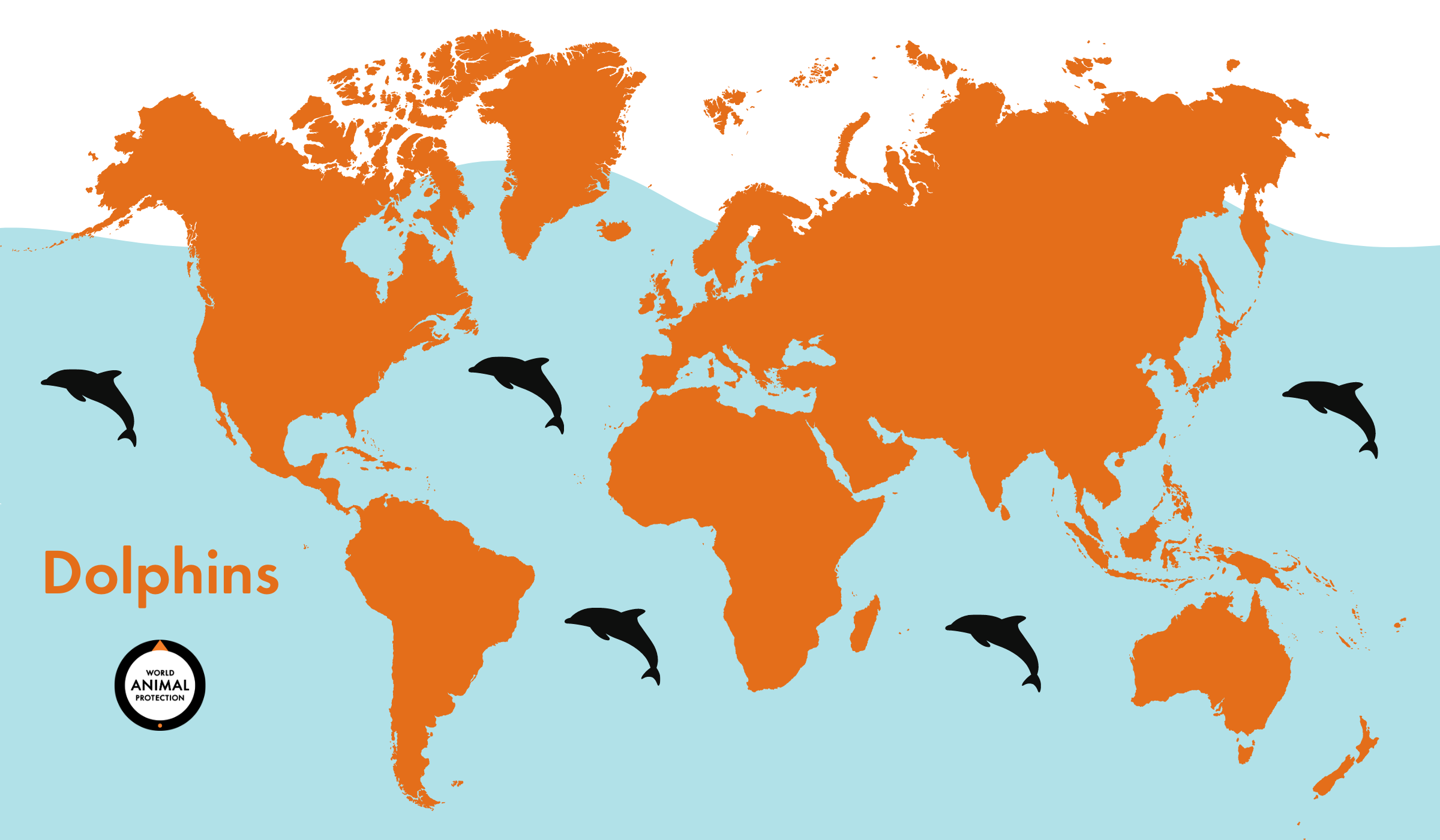 Where Are Dolphins Found