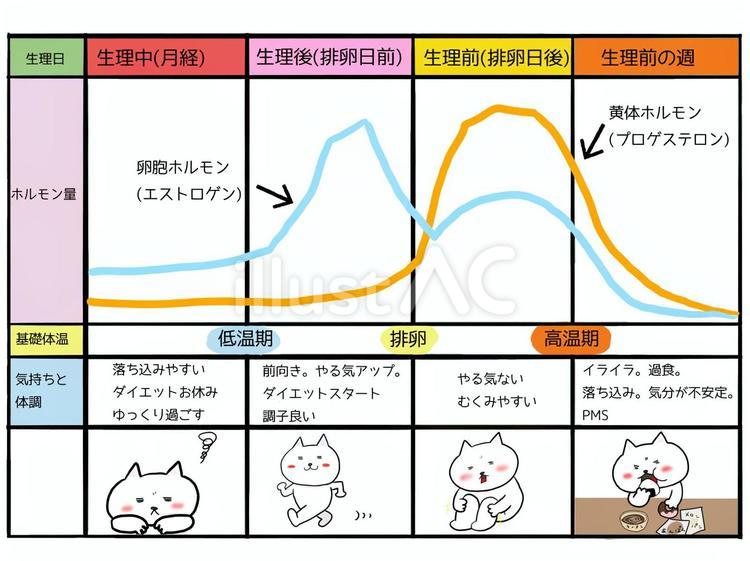 【動画まとめ】 生理 後 体調 不良 公式インスタ・X最新情報 #983