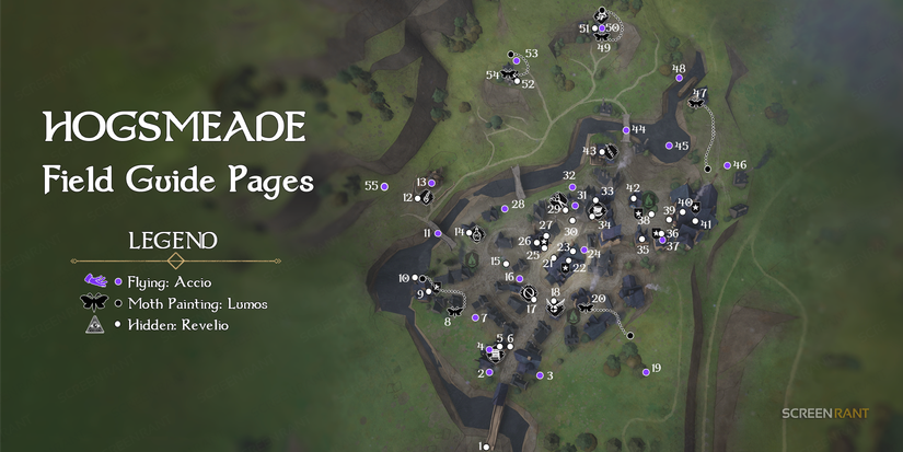 Hogsmeade Field Guide Pages List with Pictures