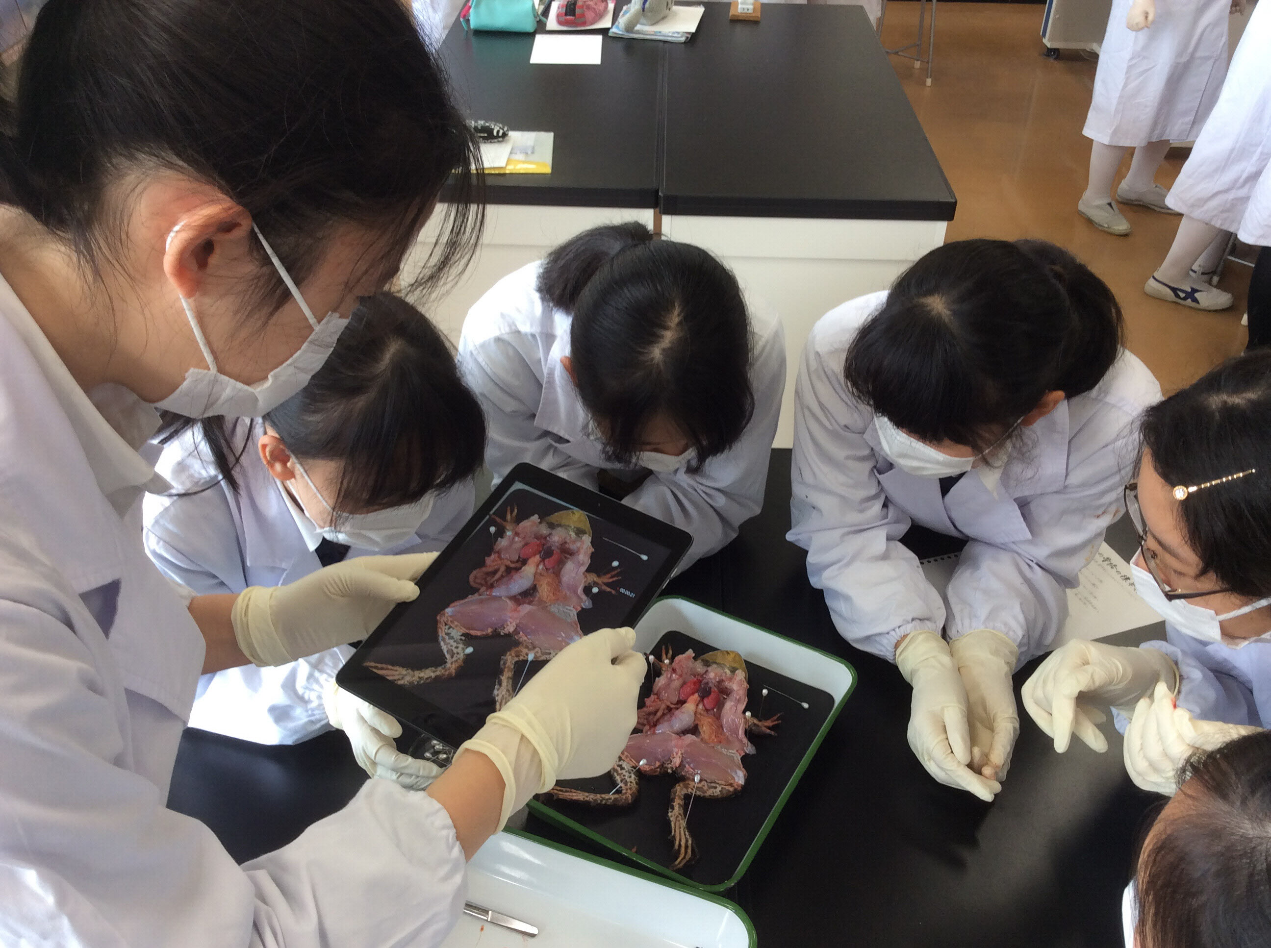 鴎友学園の偏差値はなぜ急伸？最新データと実績から見えた合格の真相
