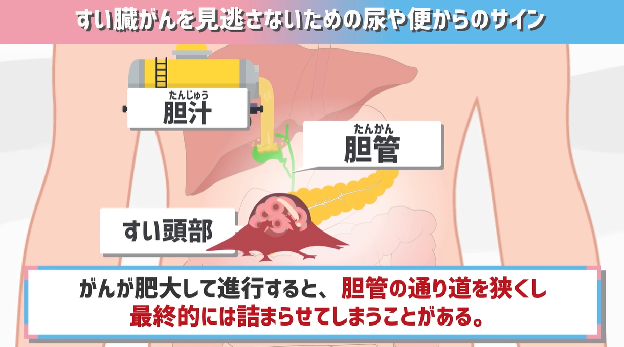 【衝撃検証】ナイトスクープ伝説のオナラ回！爆笑事件簿と秘話