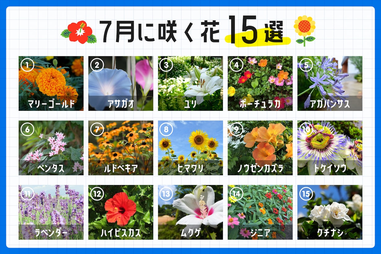 猛暑に負けない！7月を彩る旬の花とプロが教える長持ち手入れ術