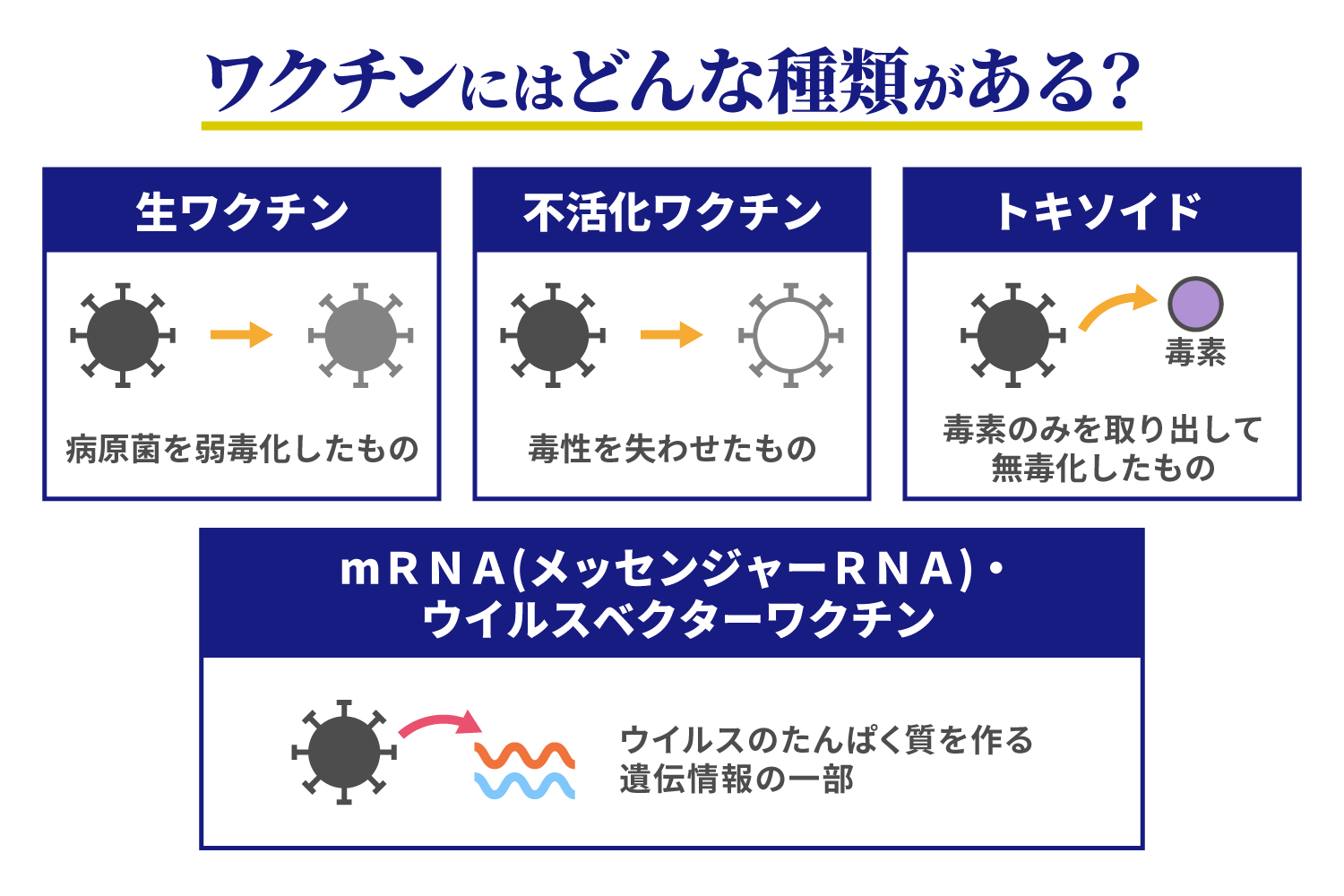 3回目接種の副反応ピークはいつ？モデルナとファイザー徹底比較