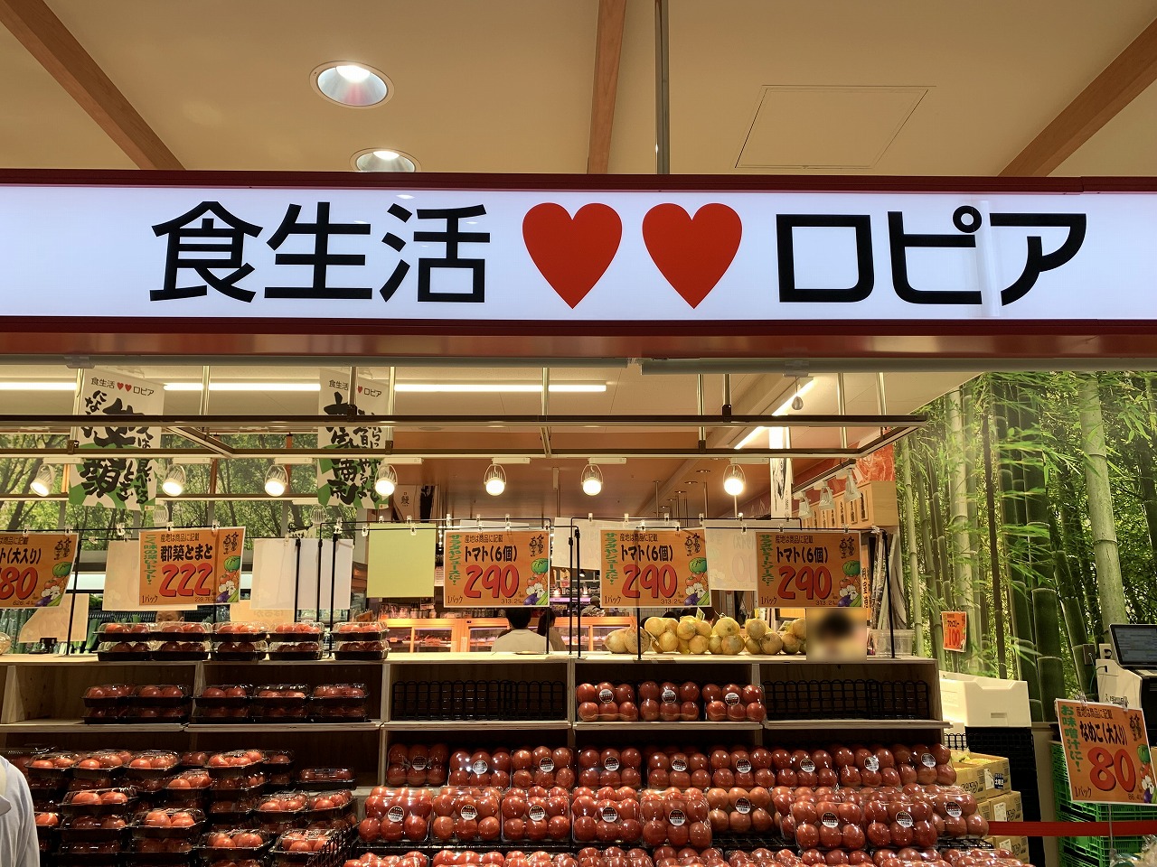 【解剖2026】「日本のコストコ」ロピアが巨大Gmsの跡地を飲み込む日——全国拡大と独自経営が起こす流通崩壊の全貌