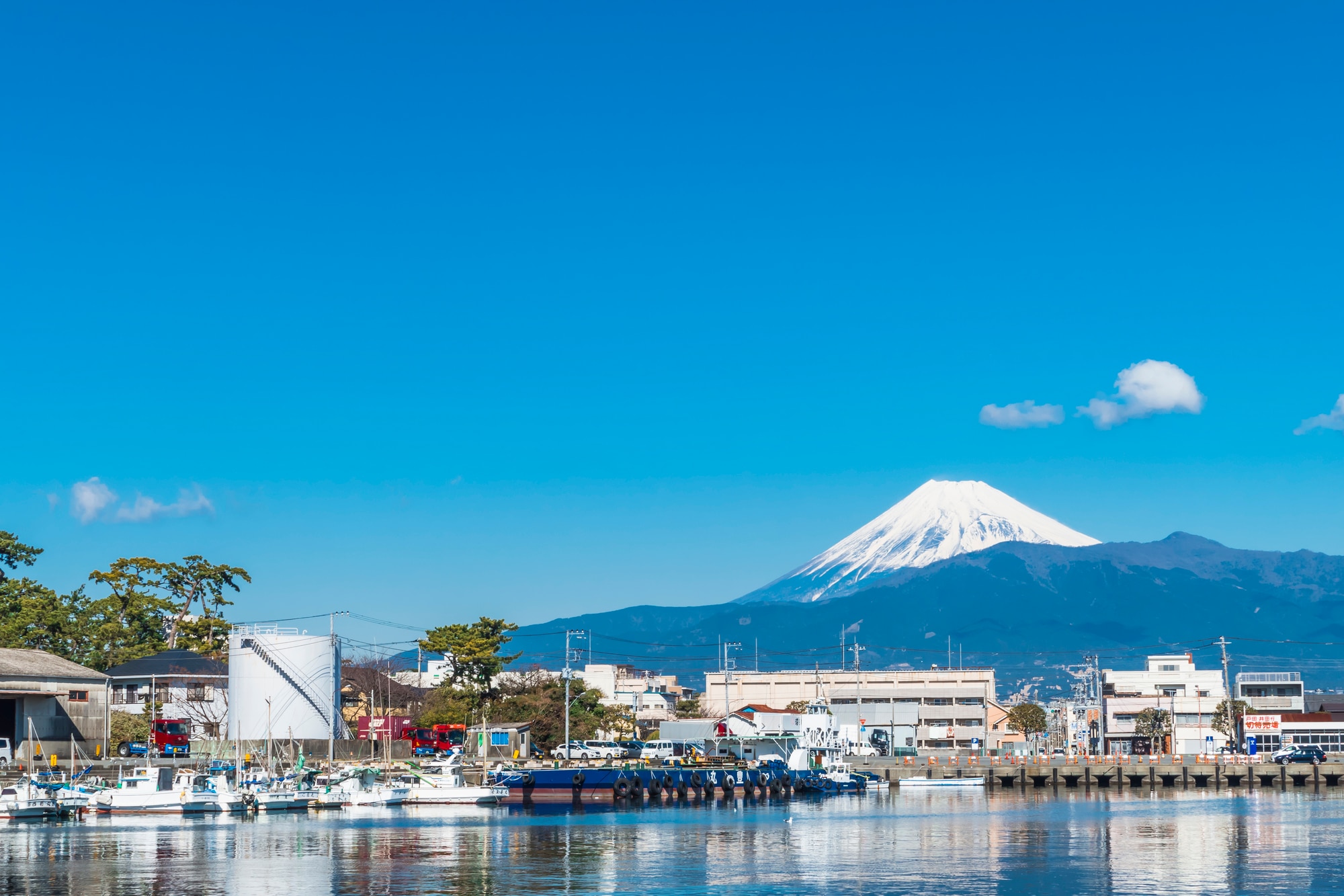 【2026年現場ルポ】伝統の芸術科と地域共創が拓く未来——沼津 西 高校で今、起きている教育革新のリアル