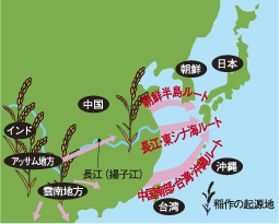 日本のルーツを解き明かす：今こそ知るべき「記紀」の決定的な相違点
