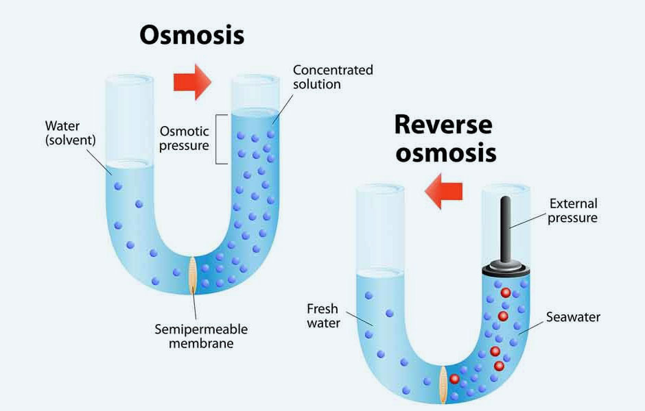 Why Is It Called Reverse Osmosis