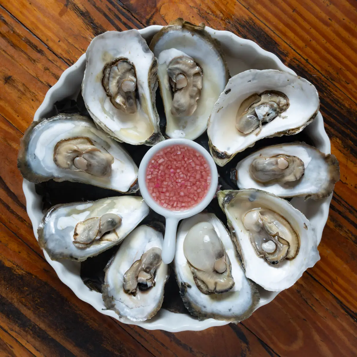 話題沸騰のFast Oystersとは？真相と口コミ評判を徹底検証