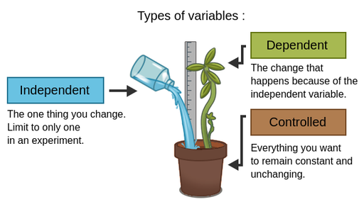 Science Experiments with Variables and Controls