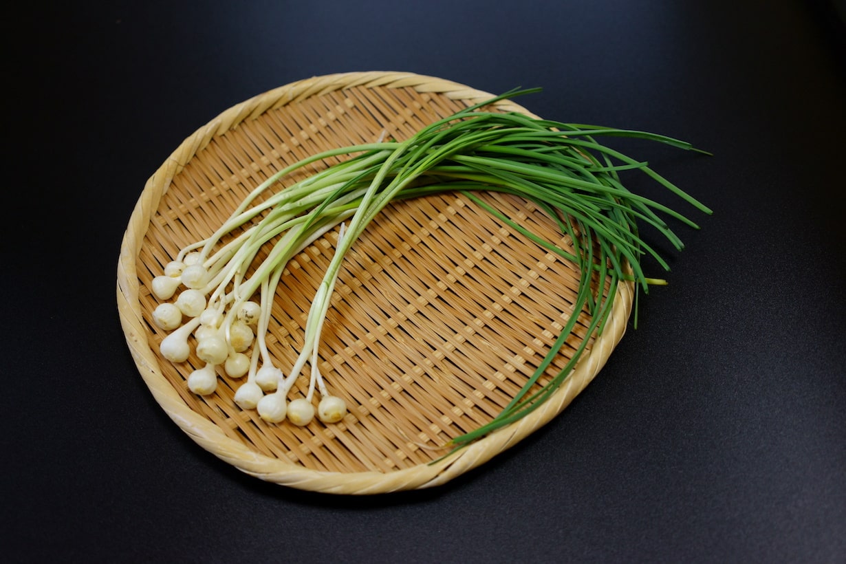 春の野草のびるの食べ方徹底解説！有毒植物の見分け方と絶品レシピ